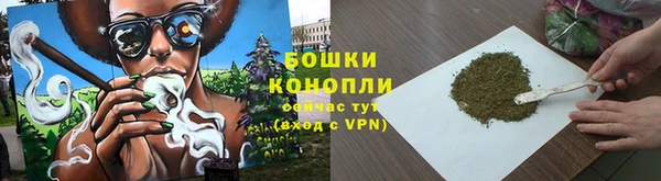 молекула духа Волоколамск
