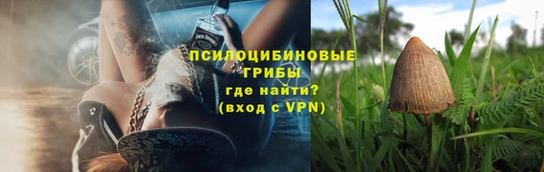 ешки Вяземский