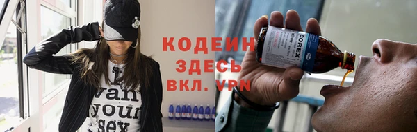 ешки Вяземский