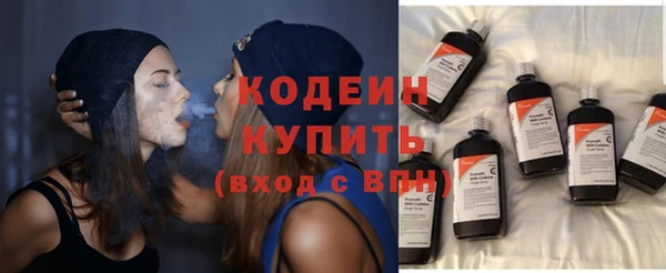 ешки Вяземский