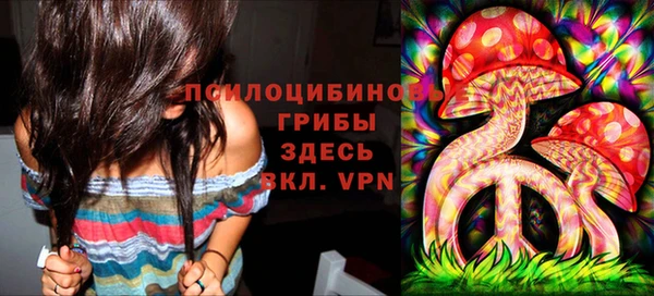 ГАЛЛЮЦИНОГЕННЫЕ ГРИБЫ Вязники