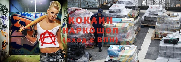 ГАЛЛЮЦИНОГЕННЫЕ ГРИБЫ Вязники