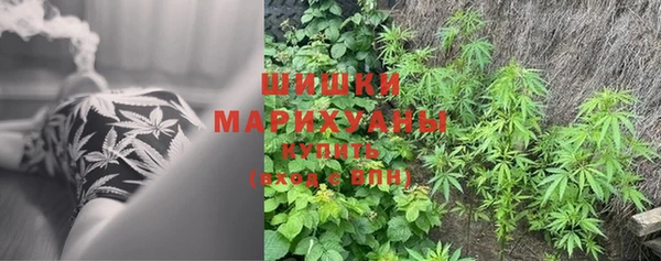 ГАЛЛЮЦИНОГЕННЫЕ ГРИБЫ Вязники
