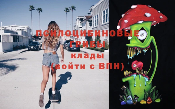 ешки Вяземский