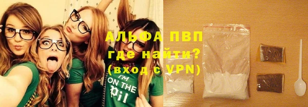 ешки Вяземский